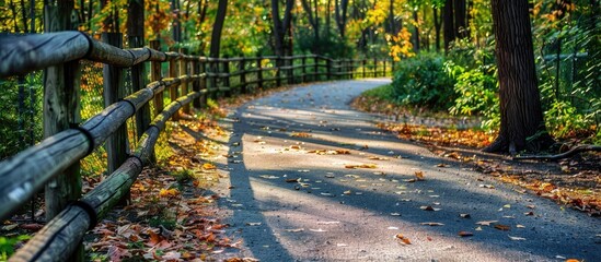 High angle view of a park footpath with a fence during autumn. with copy space image. Place for adding text or design