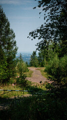 A path in quarry and forest