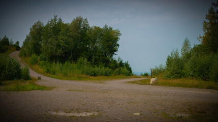 A path in quarry and forest