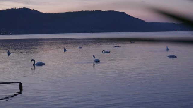 Bodensee