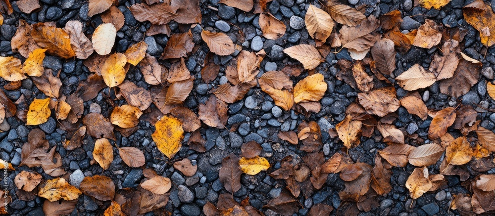 Poster fallen leaves on the gravel of the riverbank viewed from directly above full frame image. with copy 