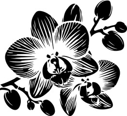 orchid silhouette, orchid svg, orchid PNG, orchid illustration, orchid, silhouette flower, vector 7