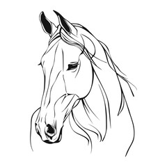 Realistic horse portrait, line art. Outline abstract horse head