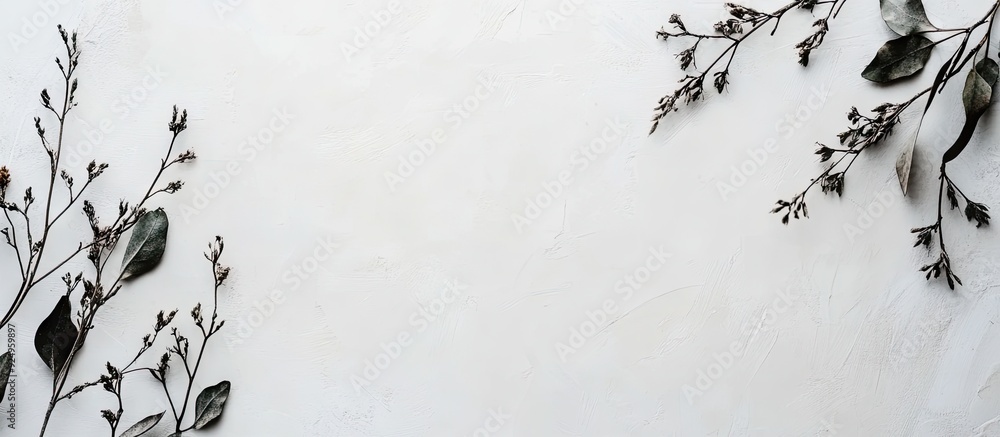 Poster flat lay arrangement featuring branches with green leaves and dried plants on a light backdrop. with