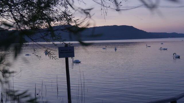 Bodensee
