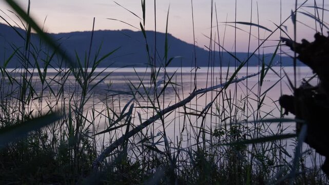 Bodensee