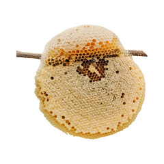 isolated of honey and honeycomb close-up