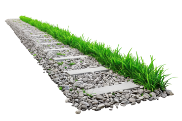 A narrow stone pathway surrounded by green grass and pebbles on a white background, ideal for garden and landscape design concepts.