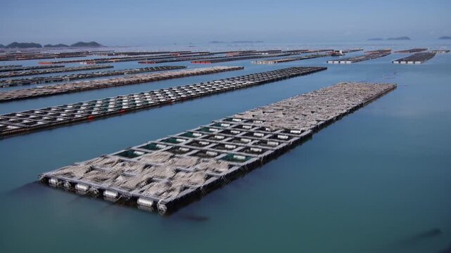 The aquaculture industry in Wando, the southern tip of Korea, is active.