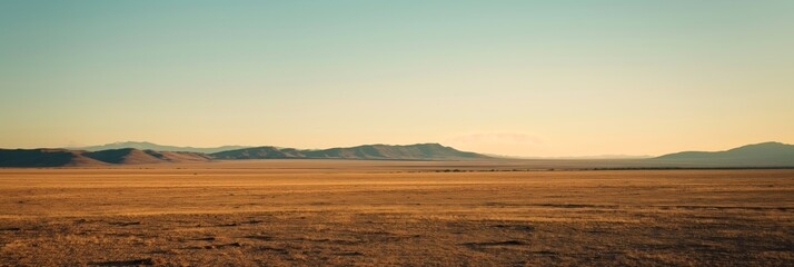 A wide-open desert landscape featuring rolling open plains under a clear blue sky, evoking a sense of solitude and natural beauty.