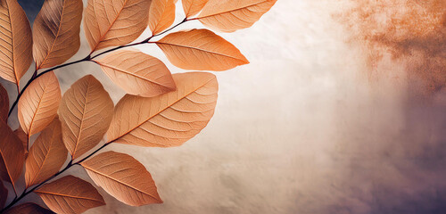 Autumn background with leaves in shades of beige and brown