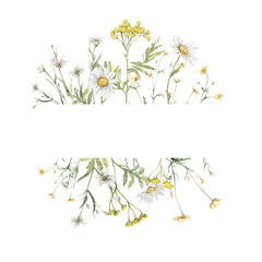 Watercolor frame of yellow buttercup and white little flower and common tansy. Watercolor hand painting illustration on isolate. Bouquet meadow flowers for invitation. Botanical summer wildflower.
