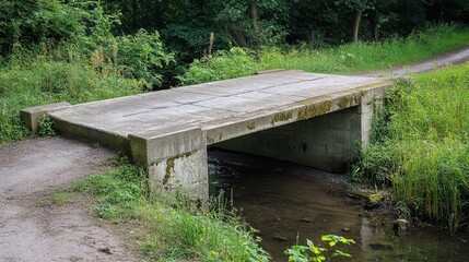 Rustic Concrete Bridge Over Small Stream in a Forest - A simple concrete bridge spans a small stream, nestled within a lush green forest, symbolizing simplicity, nature, and passage.