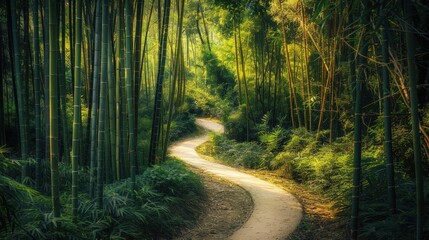 Obraz premium Serene Path Through a Lush Bamboo Forest