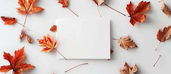 Autumn composition with a blank card on a white background ideal for copy space image