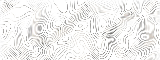 Transparent PNG Topographic line map. Modern design with White background with topographic wavy pattern design.	