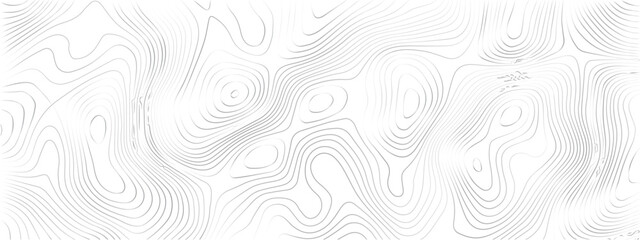 Fototapeta premium Transparent PNG Topographic line map. Modern design with White background with topographic wavy pattern design. 