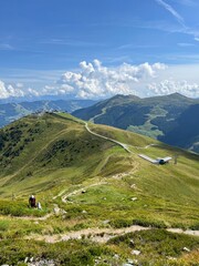 landscape in the summer