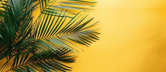 Fototapeta premium Bright yellow background with palm tree branches offering copy space image simplifying the concept