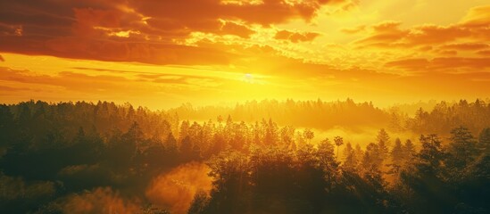 A breathtaking sunset illuminates a forested horizon painting the sky and landscape in a warm golden light with vibrant orange and yellow tones forming a tranquil image with copy space