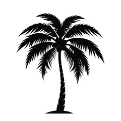 Palm tree silhouette vector illustration with black and white color