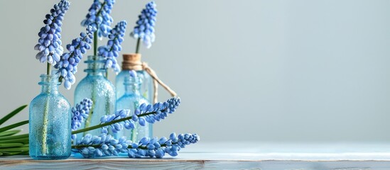 A bright soft focused image on a table featuring glass bottles and blue muscari flowers against a simple backdrop for a copy space image