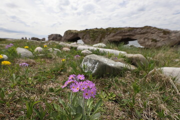 Natural rock arch of Arches Provincial Park at Portland Creek on the coast of Newfoundland's...