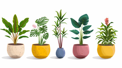 Obraz premium Set of different plants in pots isolated on white background illustration
