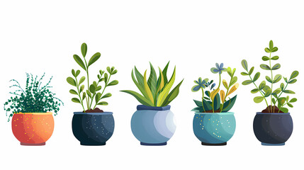 Obraz premium Set of different plants in pots isolated on white background illustration