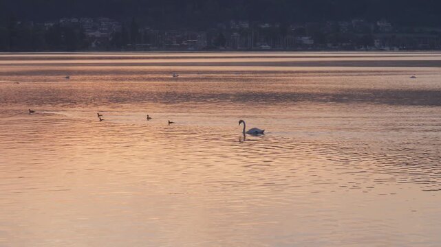 Bodensee