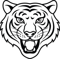tiger head  vector illustration