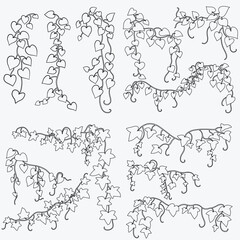 Floral ivy drawing decorative ornament flat design collection.