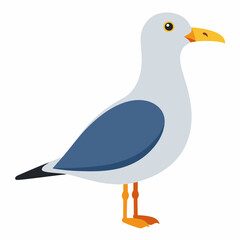 Obraz premium seagull-on-white-background