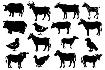 farm animals collection vector illustrations