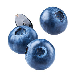 Obraz premium Falling Blueberries Isolated on White Background
