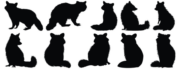 Raccoon silhouette set vector design big pack of animal illustration and icon