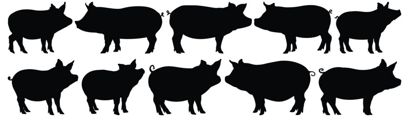 Pig silhouette set vector design big pack of animal illustration and icon