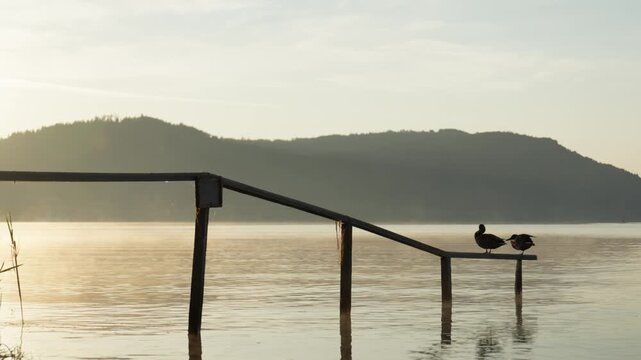 Bodensee