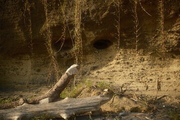 Cliffside surface eroded by ocean waves and dry wooden log on a tropical beach