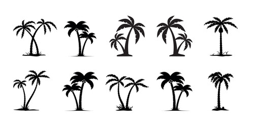Set of tropical palm and tree silhouettes. EPS . Set tropical palm trees with leaves, mature and young plants, black silhouettes isolated on white background. Vector illustration.