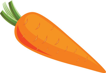  Fresh Carrot