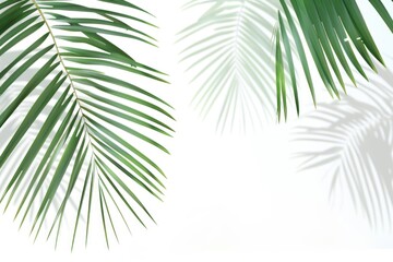 Tropical beach, vacation, travel destination, cocktail hour, summer resort