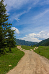 Summer landscape with one dirt rural road diverged into two country roads against mountain range. Forked country track on Altai Republic, Russia. Choice route. Direction of movement - left or right © Вера Тихонова