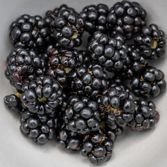 Blackberries in a white bowl