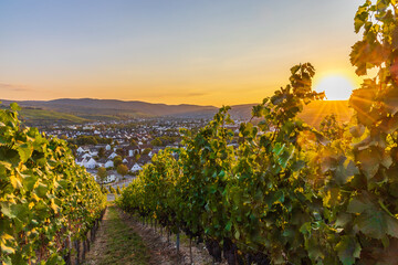 Wunderschöner Sonnenuntergang über den Weinbergen im Ahrtal bei Bad Neuenhr-Ahrweiler mit Blick...