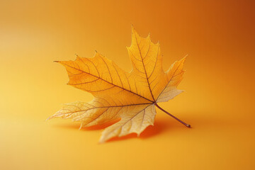 A single golden maple leaf isolated on a soft pastel orange background, symbolizing the start of autumn,