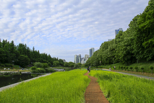 Daechi-dong, Gangnam-gu, Seoul, South Korea - May 26, 2022: Summer view of people walking on trail and green grass field besides Yangjaecheon Stream against high-rise apartments