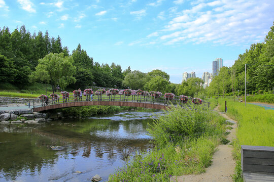 Daechi-dong, Gangnam-gu, Seoul, South Korea - May 26, 2022: Summer view of Yangjaecheon Stream with trail and arch bridge against high-rise apartments