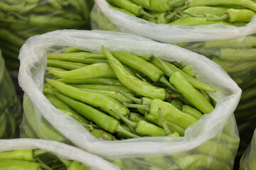 Green peppers packed in plastic bags. Freshly picked green peppers from the garden.