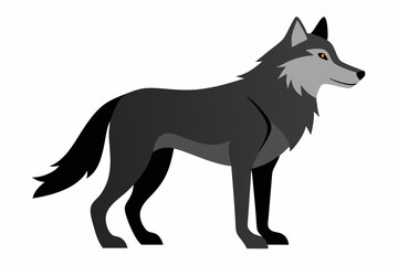 Wolf Vector Art Illustration